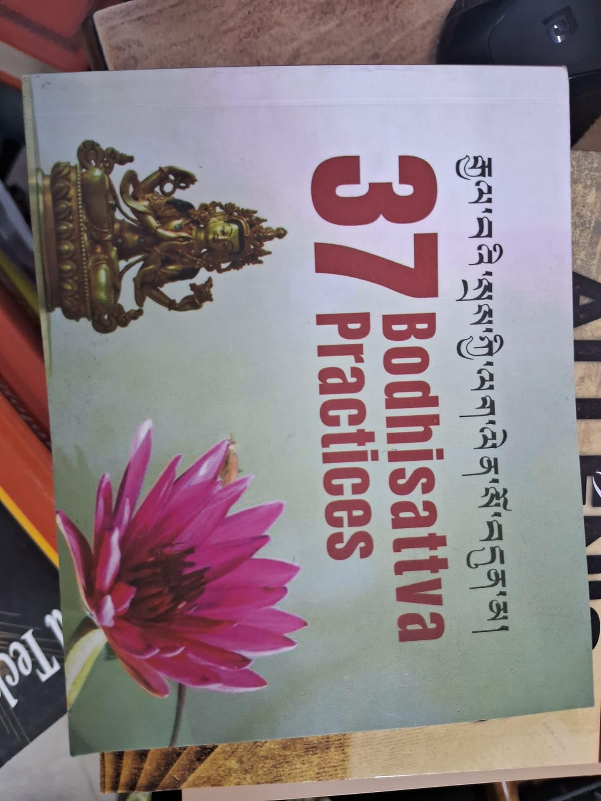 THE THIRTY SEVEN BODHISATTVA PRACTICES