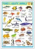 Fishes & Aquatic Animals (Size 70 X 100 Cms)|Laminated Both Sides