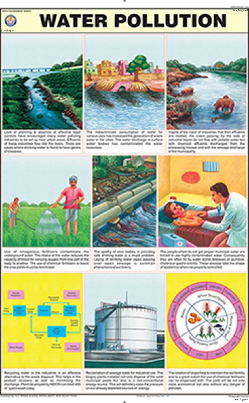 Me05 | Water Pollution Chart (50X75Cm) [Wall Chart]