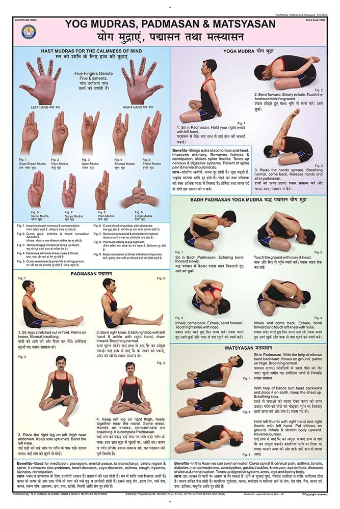 Yo04 | Teachingnest | Yog Mudras, Padmasan And Matsyasan Yoga Chart (50X75Cm) | Yoga Chart | With Rollers | English [Wall Chart]