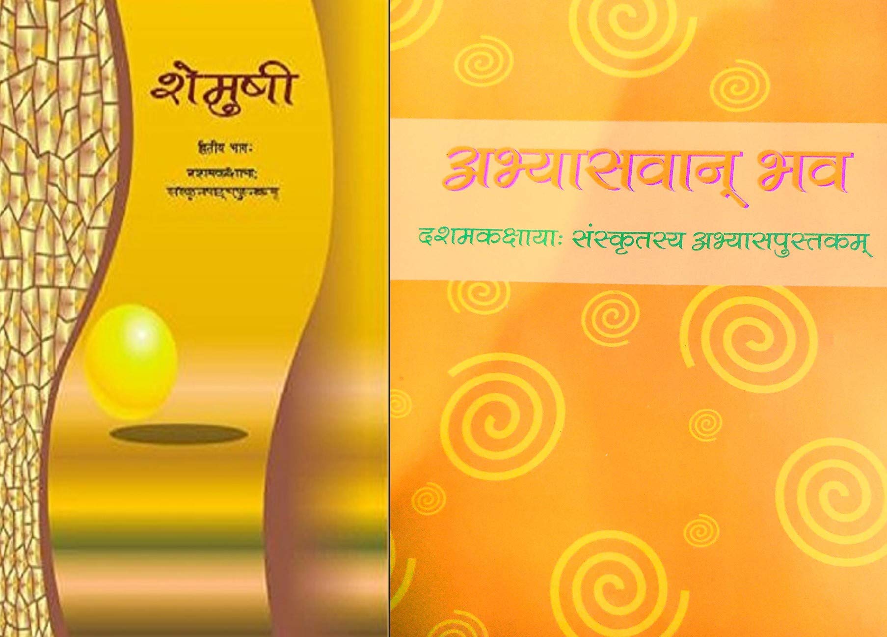 Class 10 Sanskrit Shemushi + Class 10 Sanskrit Workbook Abhyaswan Bhav  Ncert Book For Class 10
