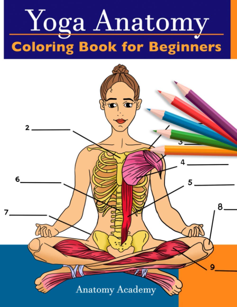 Yoga Anatomy Coloring Book For Beginners