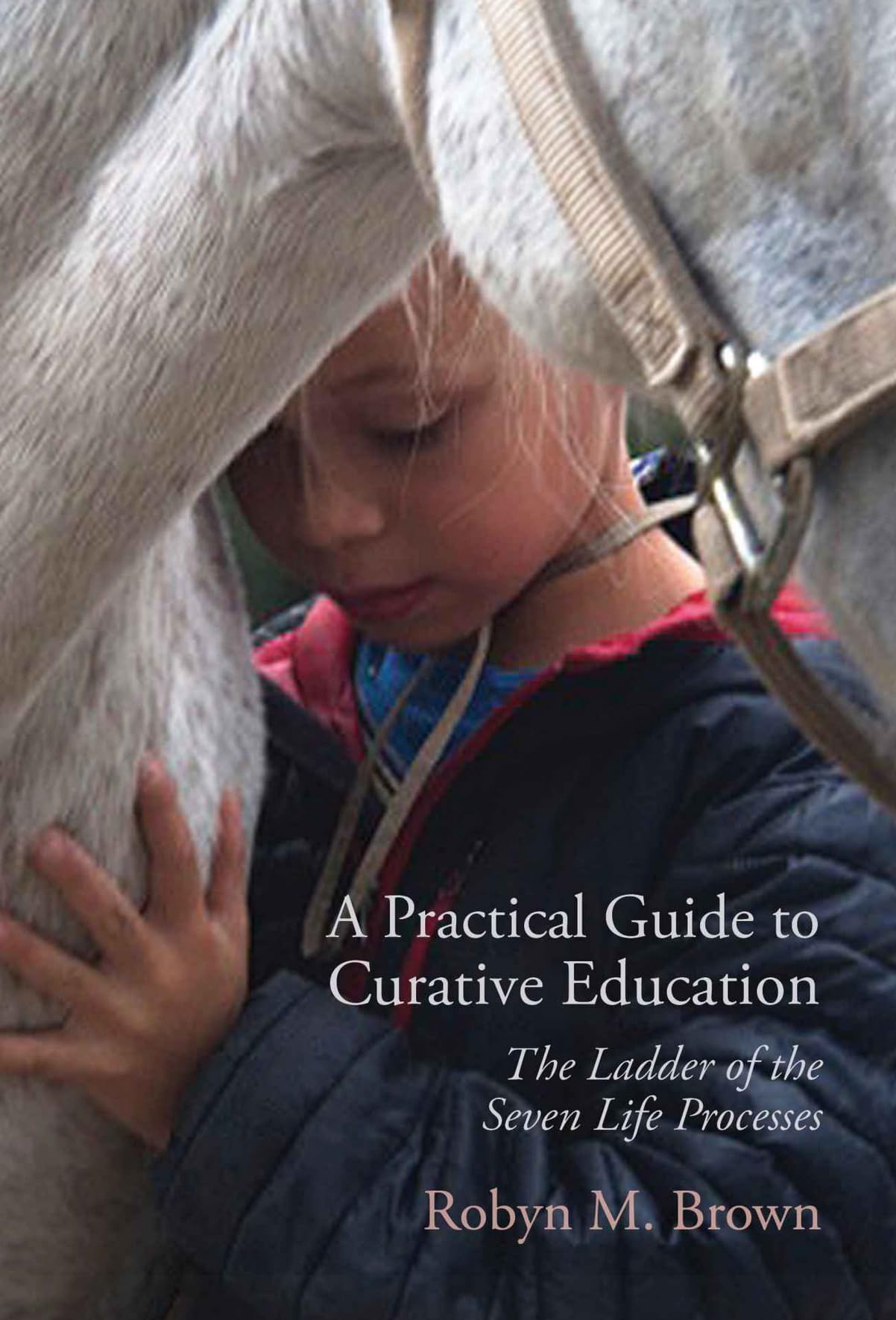 A Practical Guide To Curative Education: The Ladder Of The Seven Life Processes