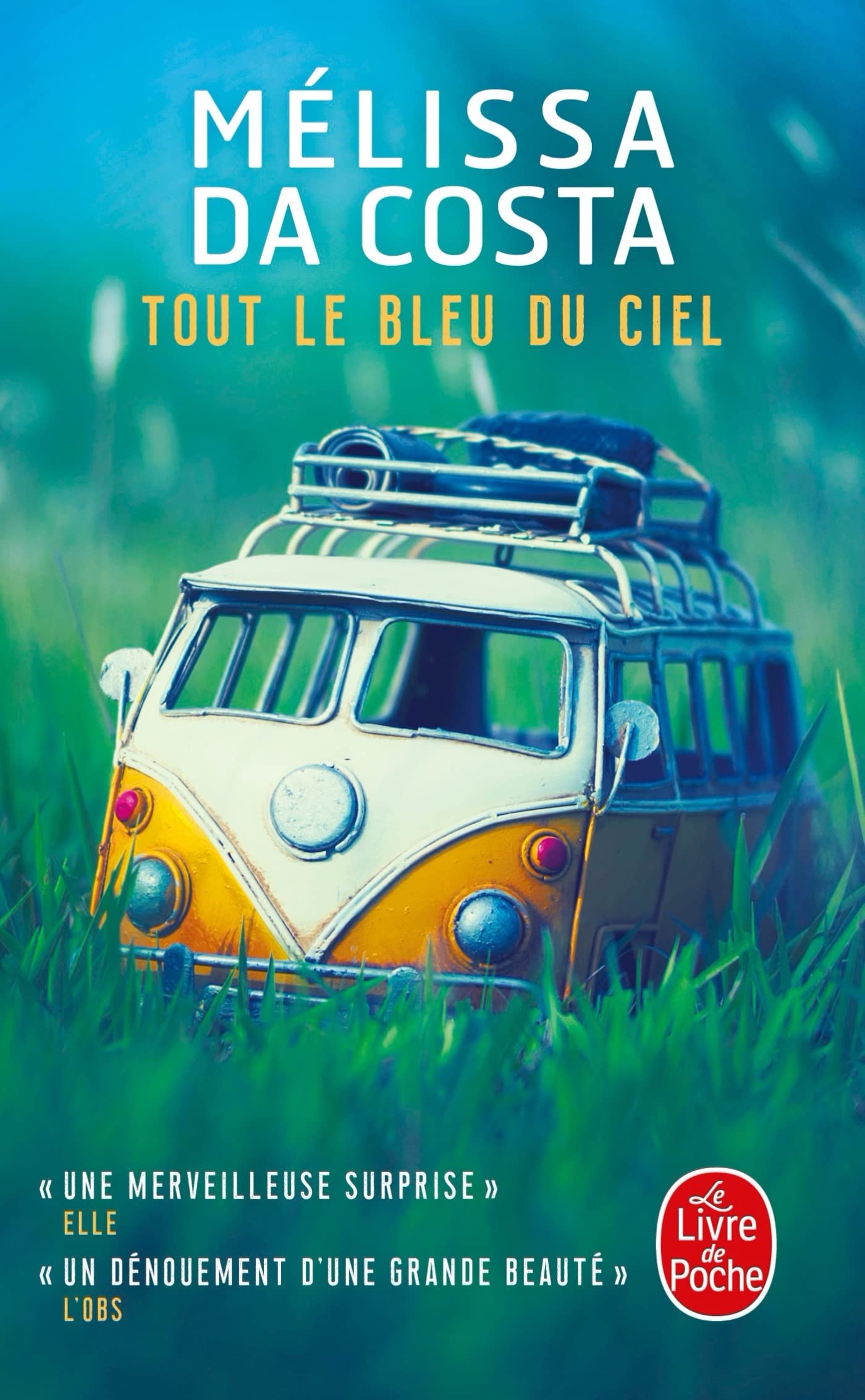 Tout le bleu du ciel (Littrature)