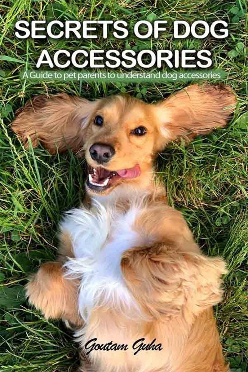 Secrets Of Dog Accessories : A Guide To Pet Parents To Understand Dog Accessories