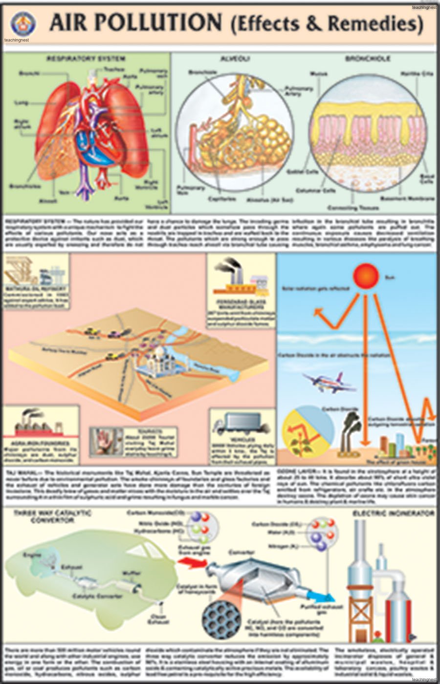 Me03 | Air Pollution (Effects & Remedies) Chart (50X75Cm) [Wall Chart]