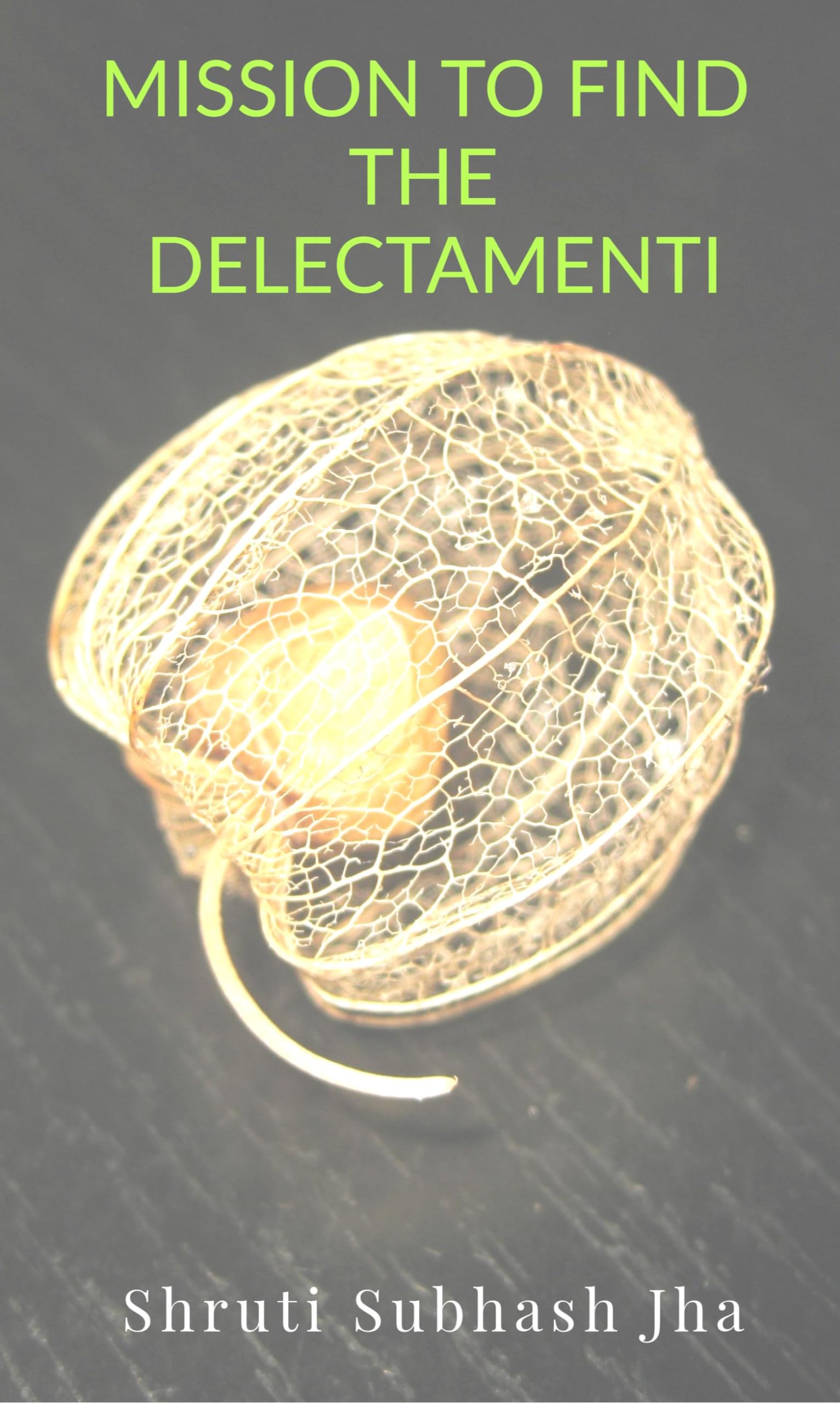 Mission To Find The Delectamenti