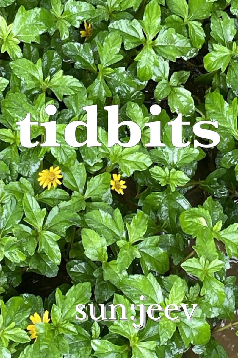 tidbits: from a vacation