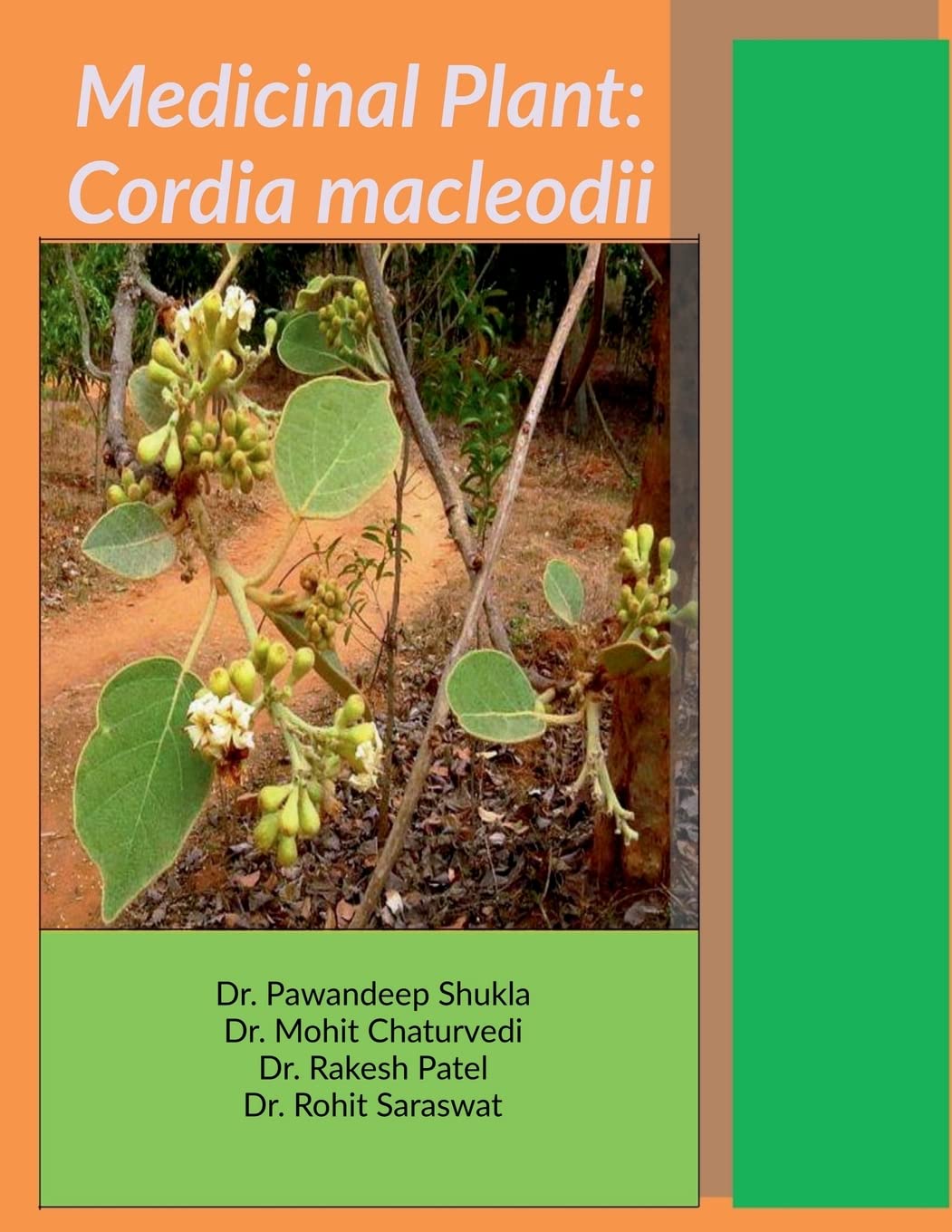 Medicinal Plant: Cordia Macleodii