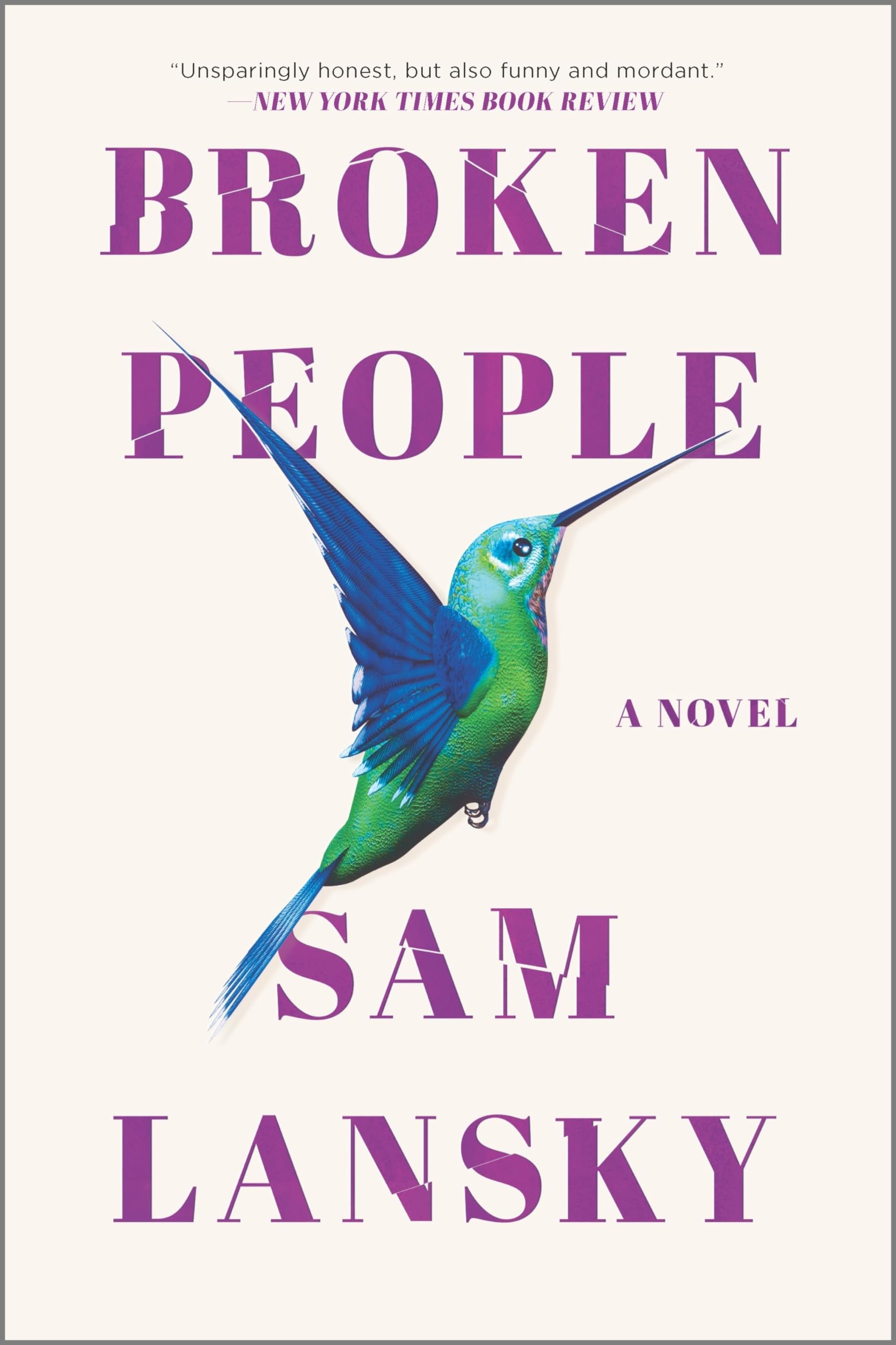 Broken People: A Novel  A Kaia Gerber Book Club Pick and Gay Fiction Drama
