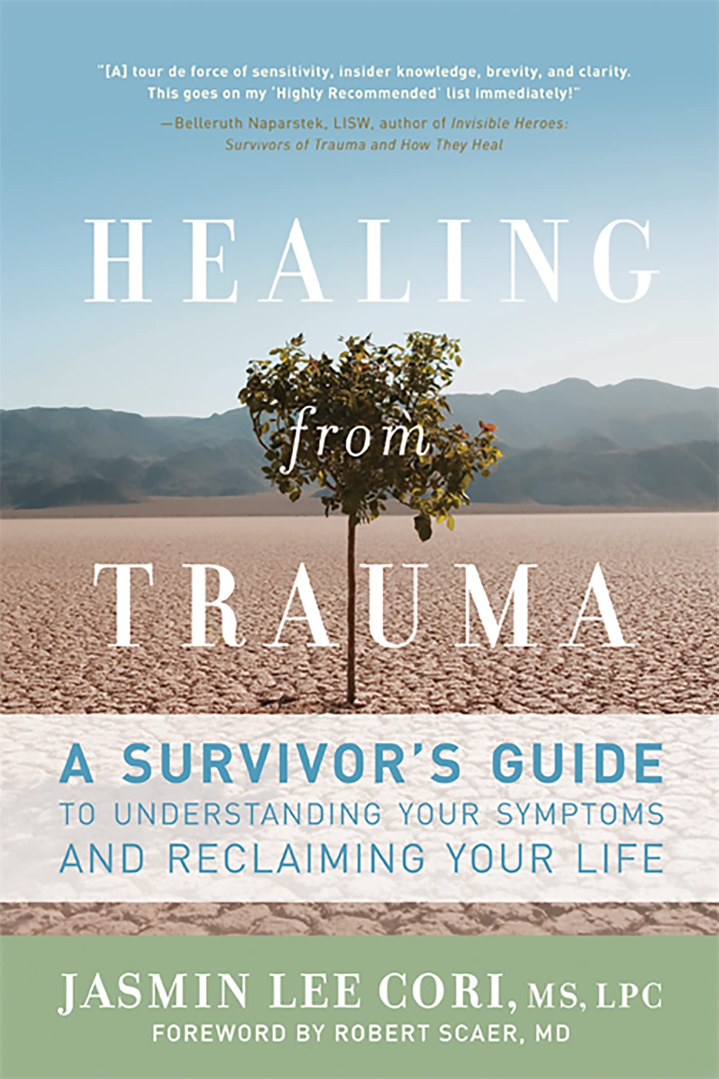 Healing from Trauma: A Survivors Guide to Understanding Your Symptoms and Reclaiming Your Life