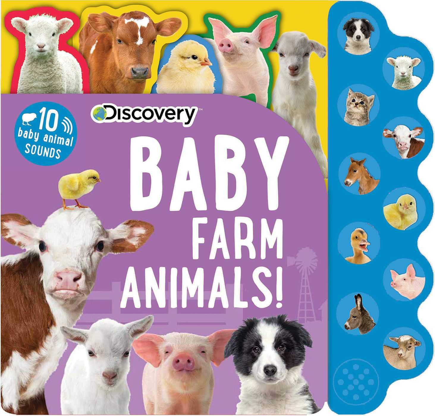 Discovery: Baby Farm Animals! (10Button Sound Books)