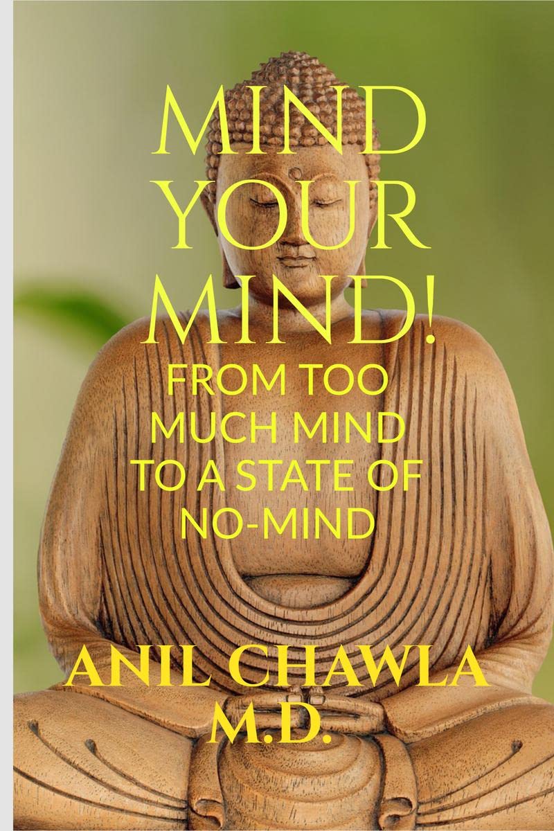Mind your Mind! : A journey from too much mind to a state of NoMind!