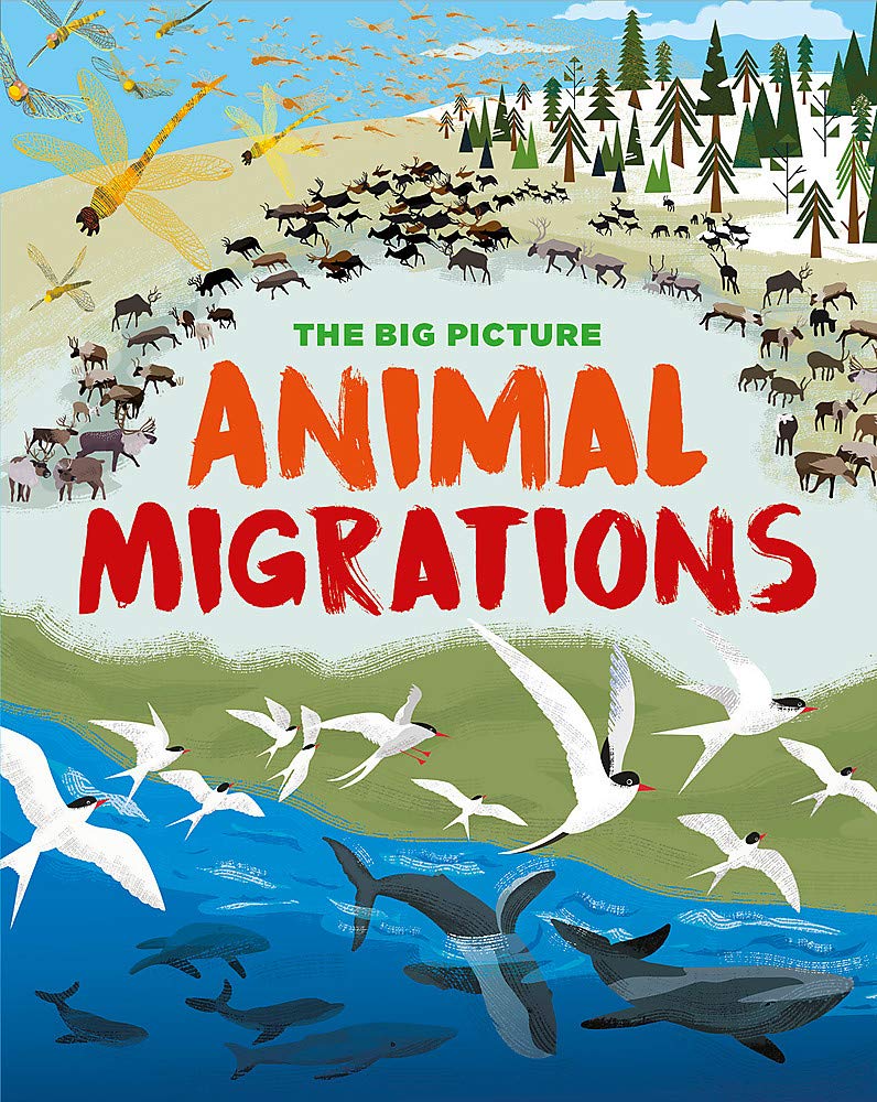 THE BIG PICTURE: ANIMAL MIGRATIONS