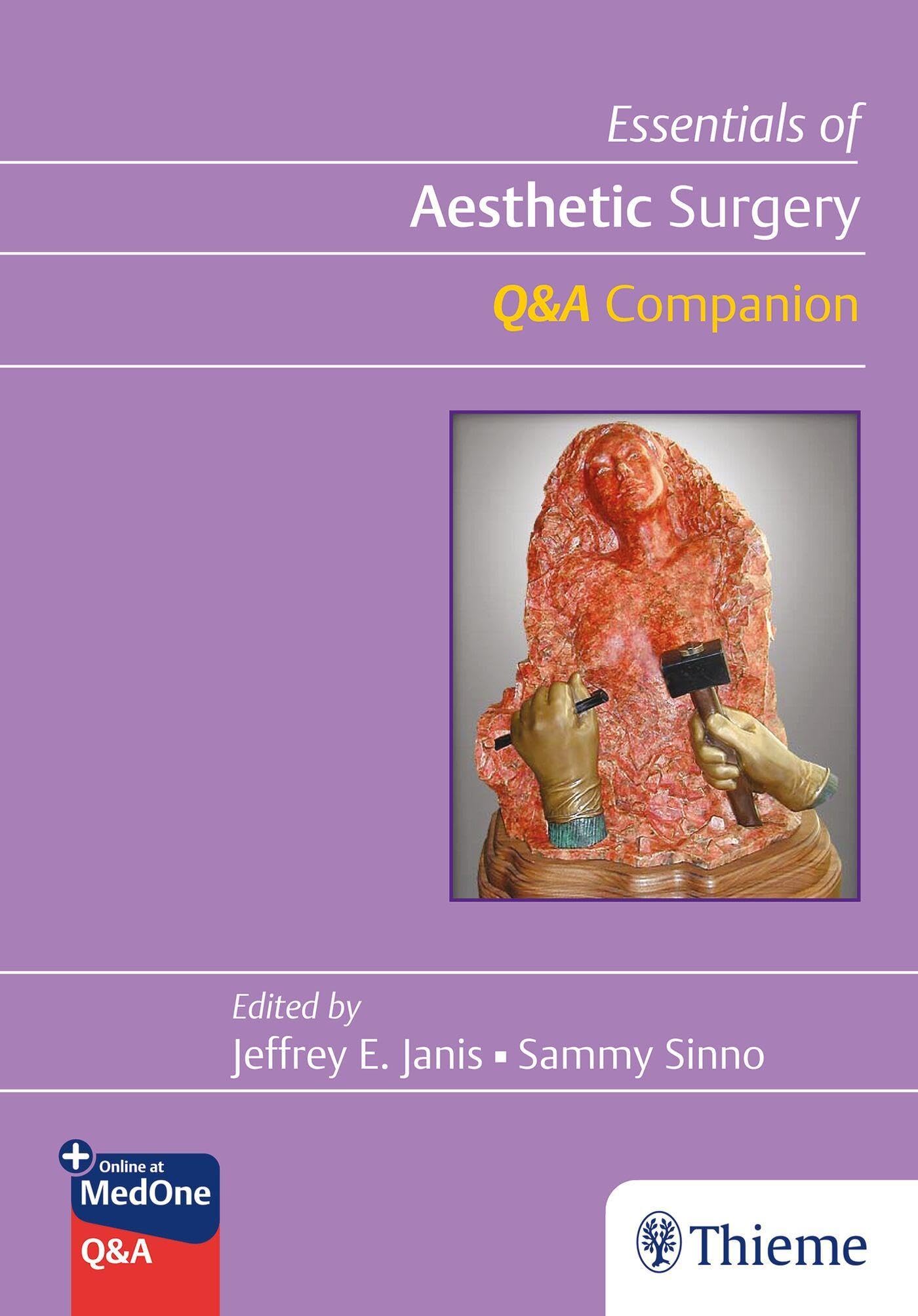 Essentials of Aesthetic Surgery Q&A Companion
