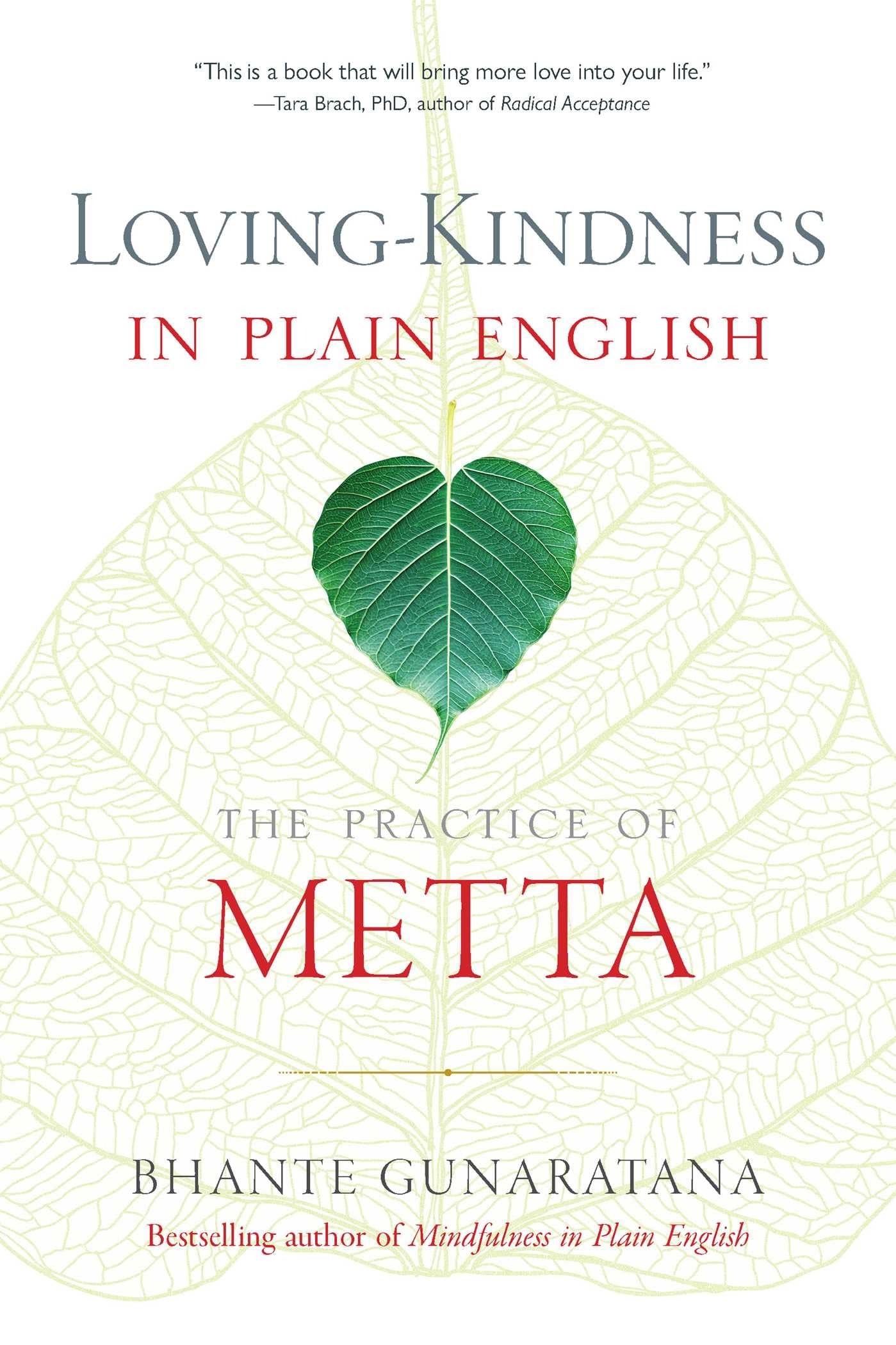 LovingKindness in Plain English: The Practice of Metta