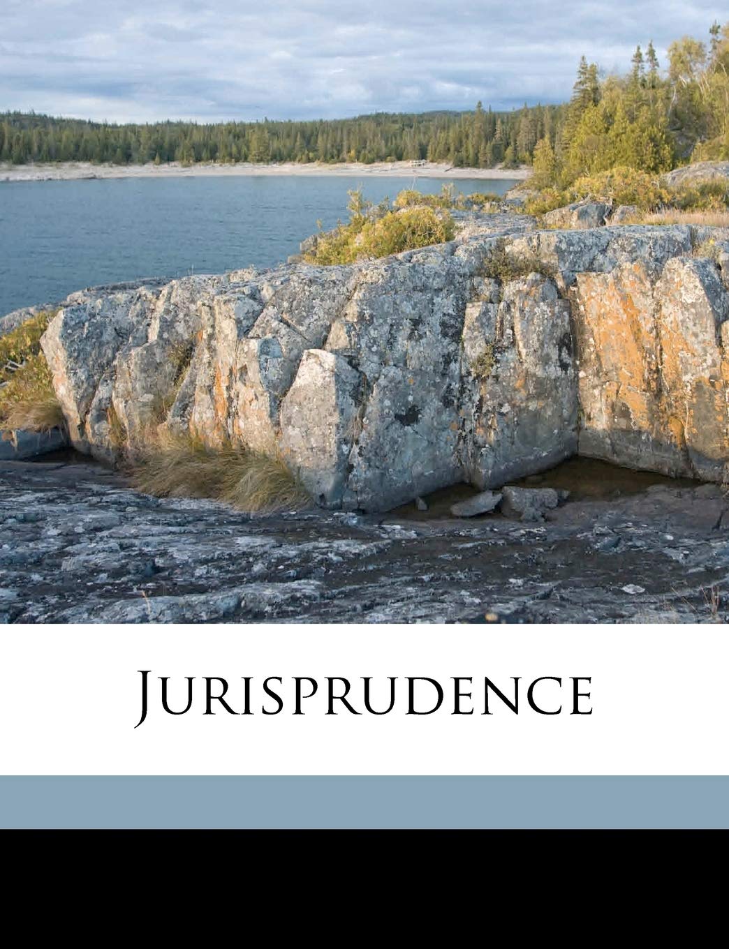 Jurisprudence