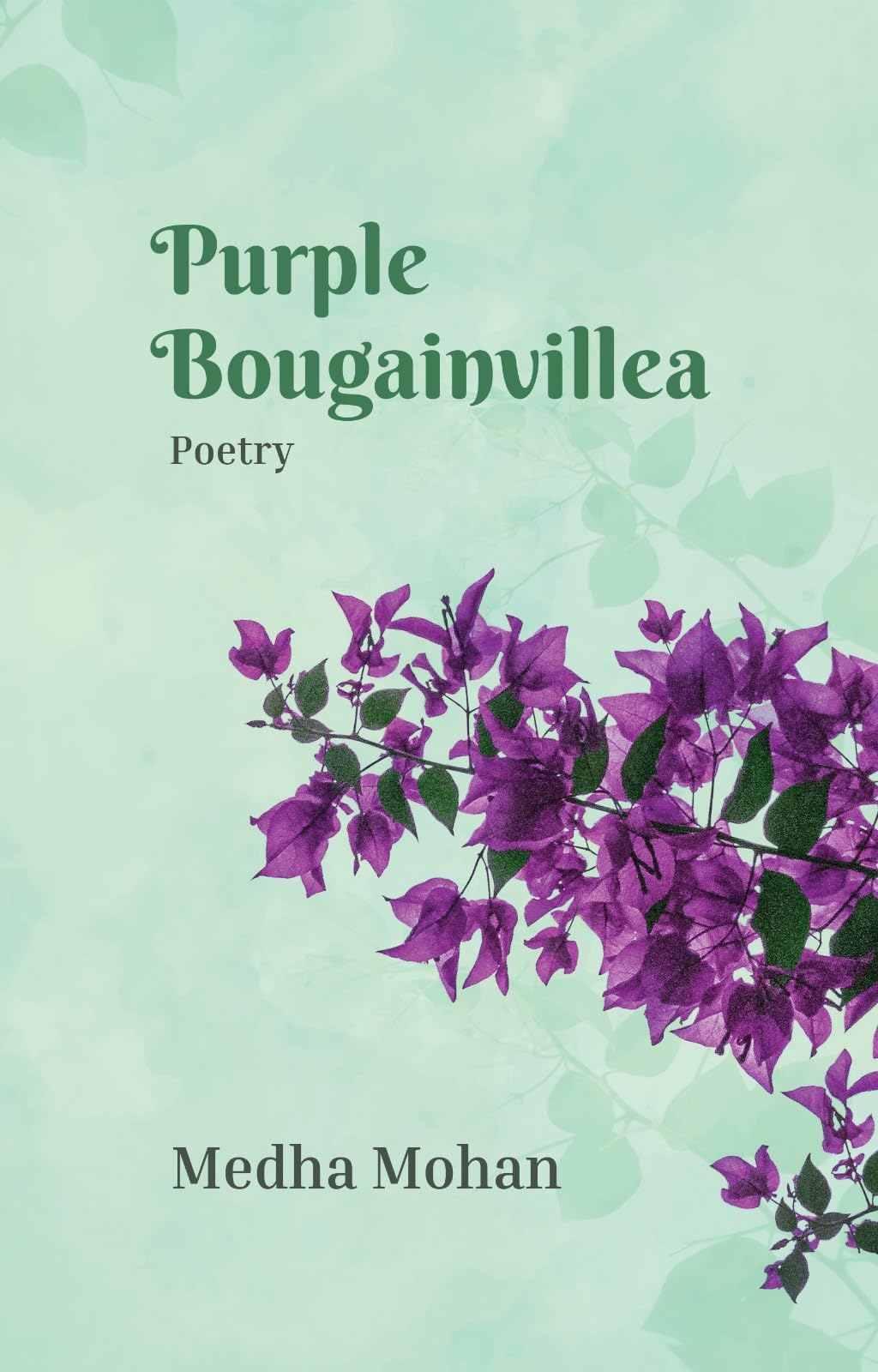 Purple Bougainvillea