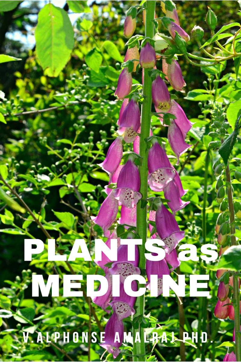 PLANTS as MEDICINE : Medicinal plants with proven therapeutical value in health management