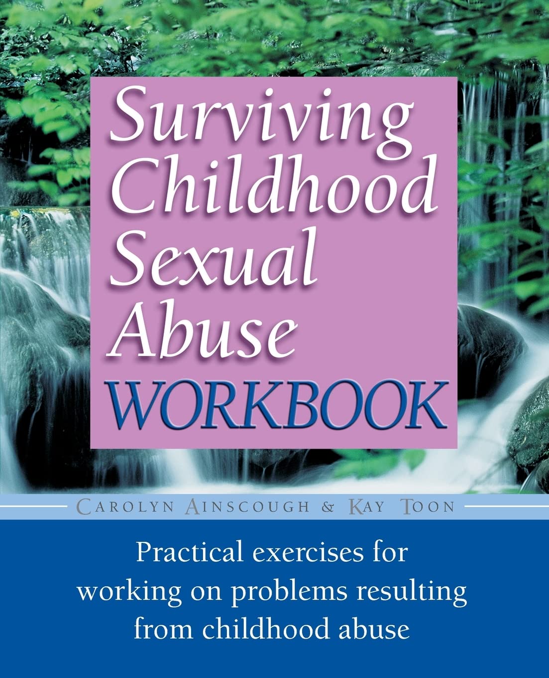 Surviving Childhood Sexual Abuse Workbook (Practical Companion to Surviving Childhood Sexual Abuse)