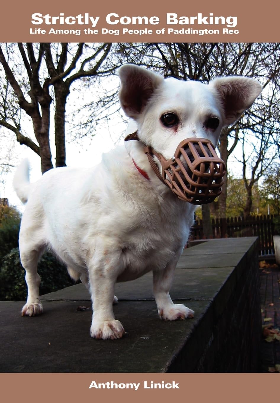 Strictly Come Barking: Life Among the Dog People of Paddington Rec