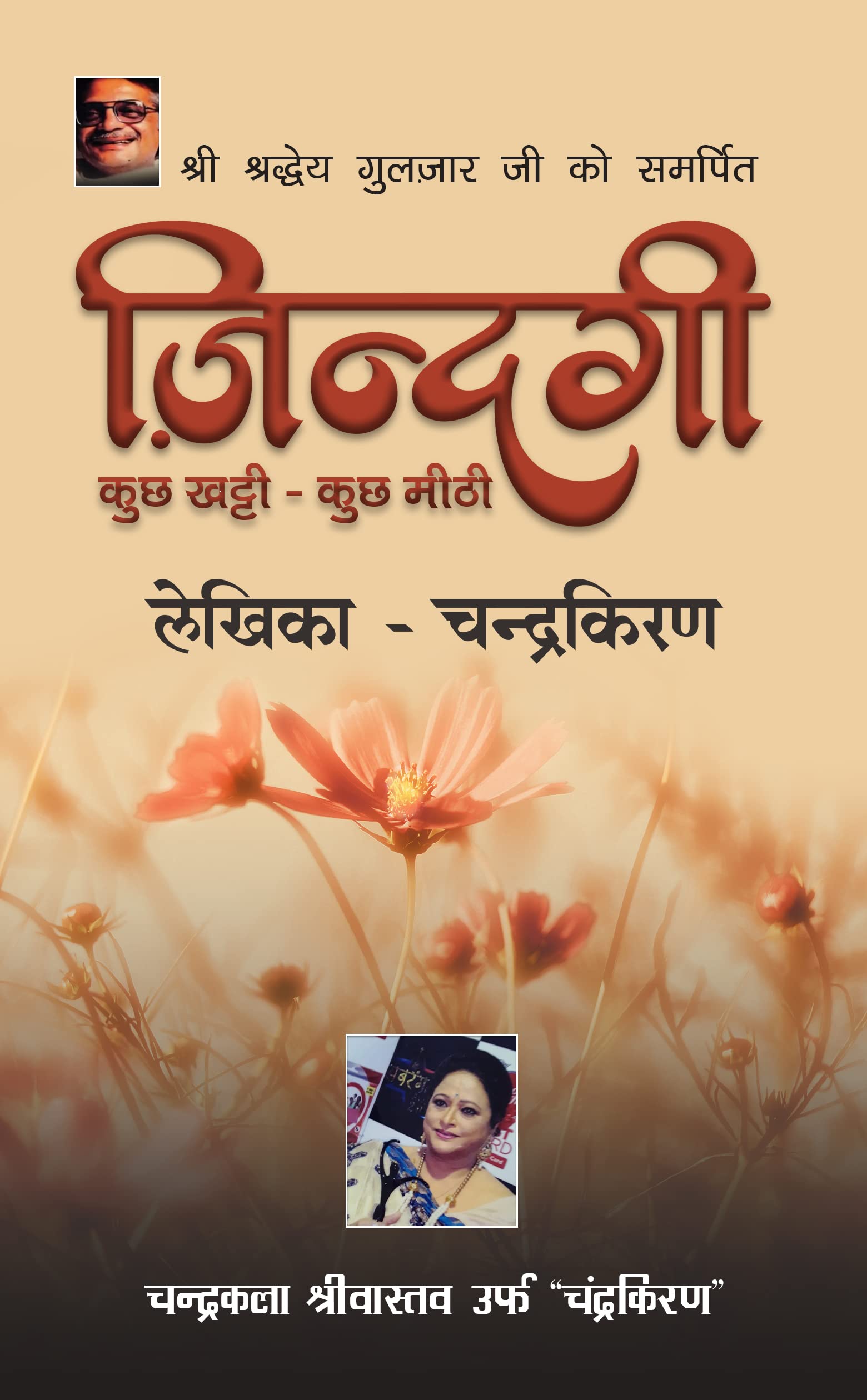 Zindagikuchh khattikuchh mithi