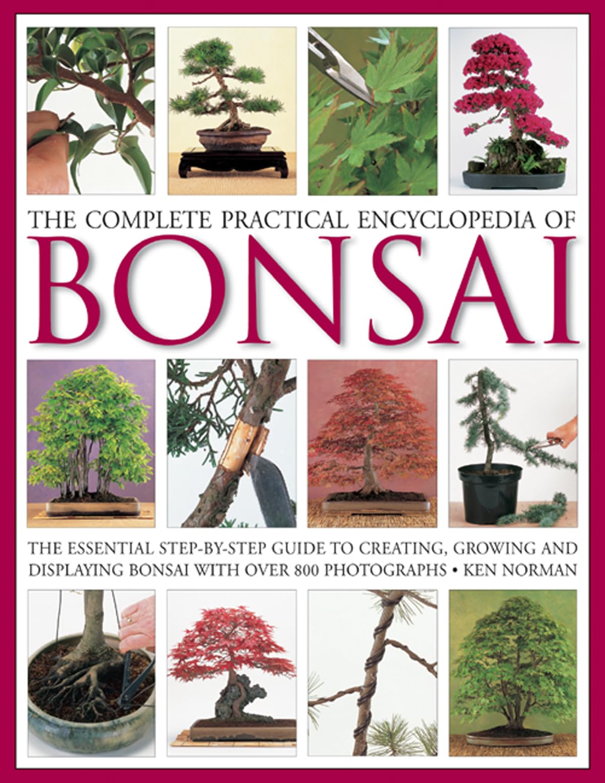 The Complete Practical Encyclopedia of Bonsai: The Essential StepbyStep Guide to Creating, Growing, and Displaying Bonsai with