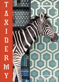 Taxidermy: Sketch to Screen to Site