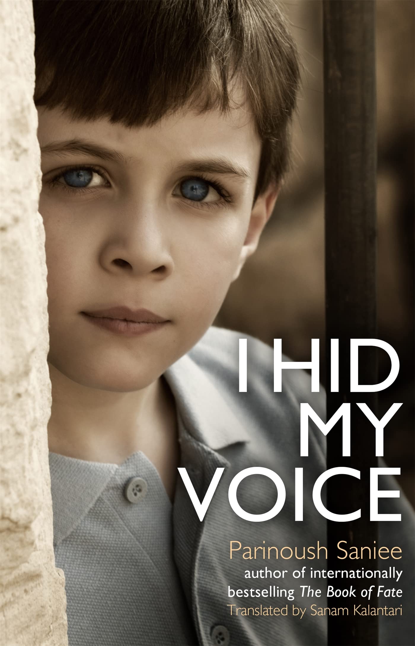 I Hid My Voice [Paperback] [Mar 22, 2017] Parinoush Saniee