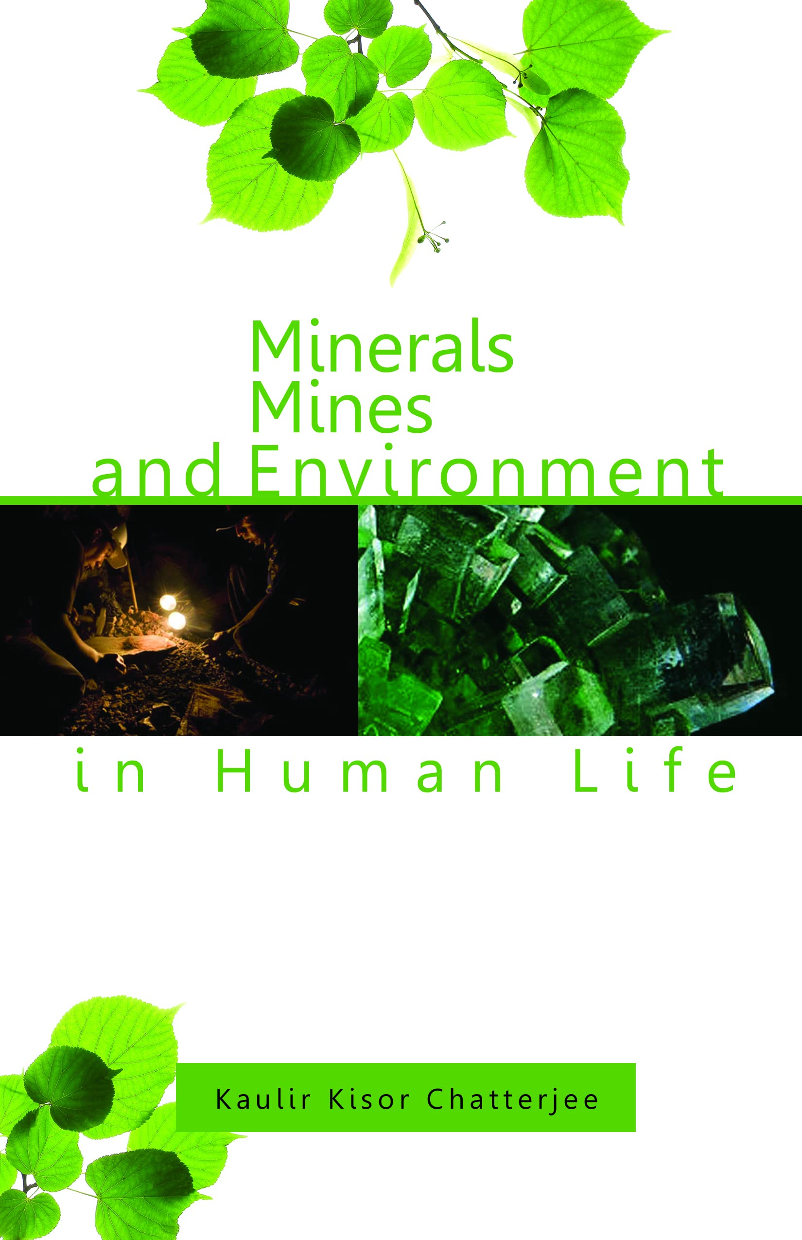 MINERALS MINES AND ENVIRONMENT IN HUMAN LIFE PB