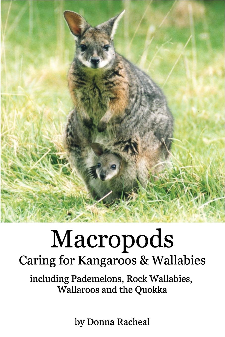 Macropods  Caring For Kangaroos And Wallabies: Including Pademelons, Rock Wallabies, Wallaroos And The Quokka