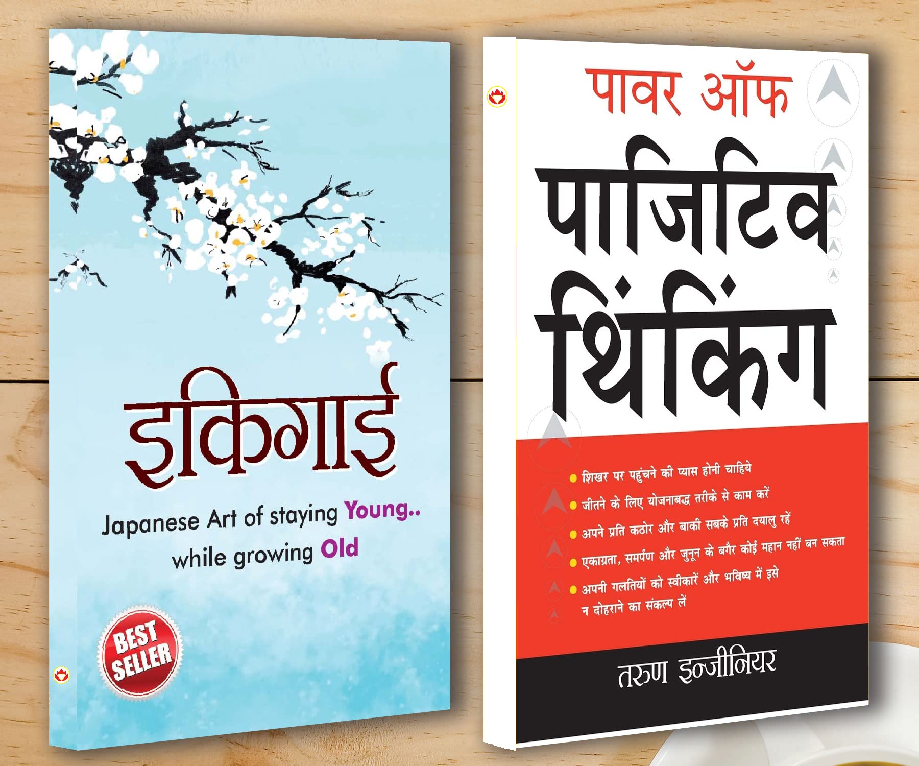 Best Motivational Books in Hindi  Ikigai () + Power Of Positive Thinking (   )