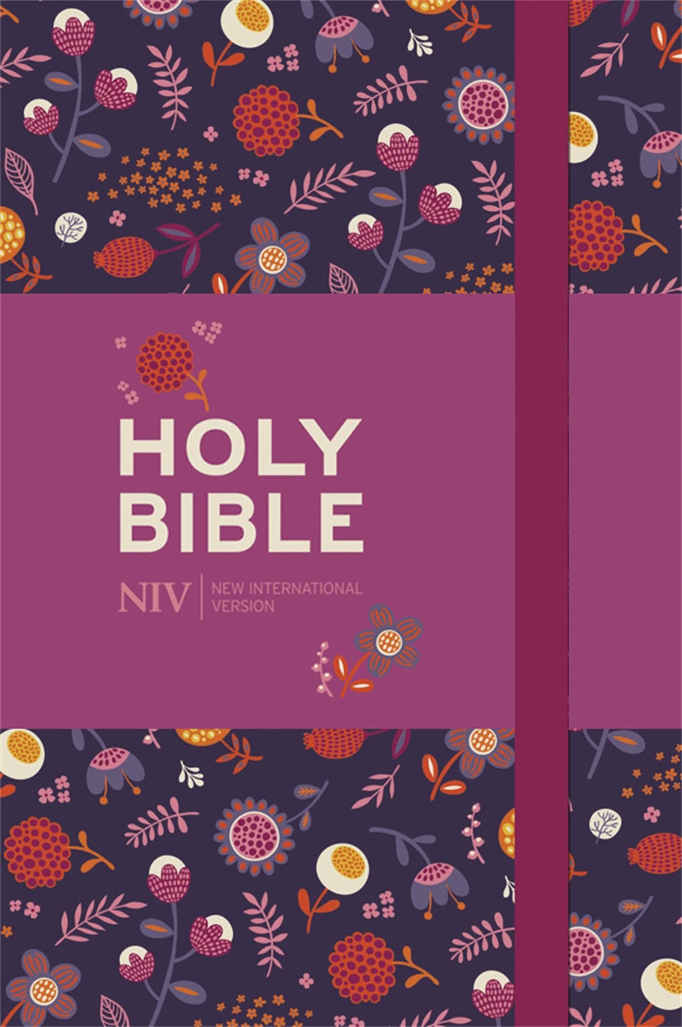 The Holy Bible: New International Version.