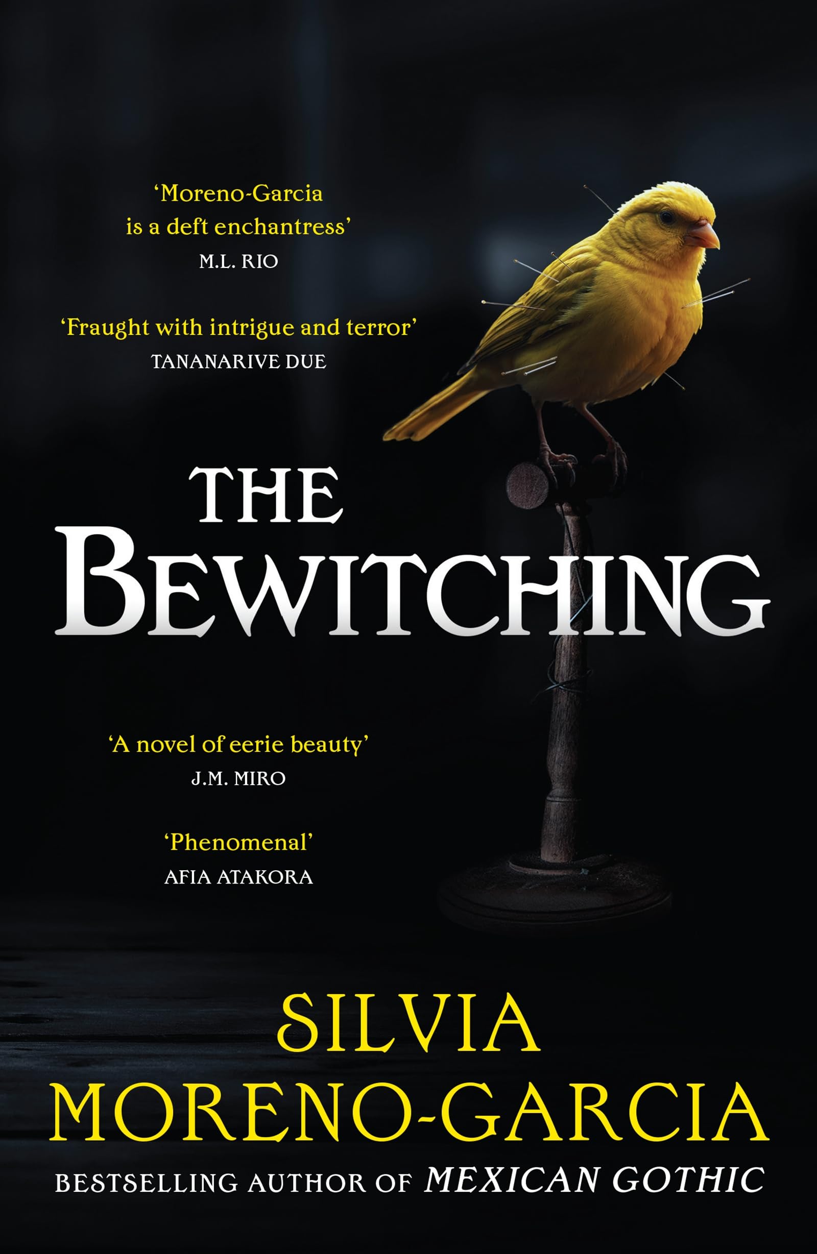 The Bewitching: folk horror meets dark academia in this thrilling supernatural mystery from the bestselling author of Mexican Go