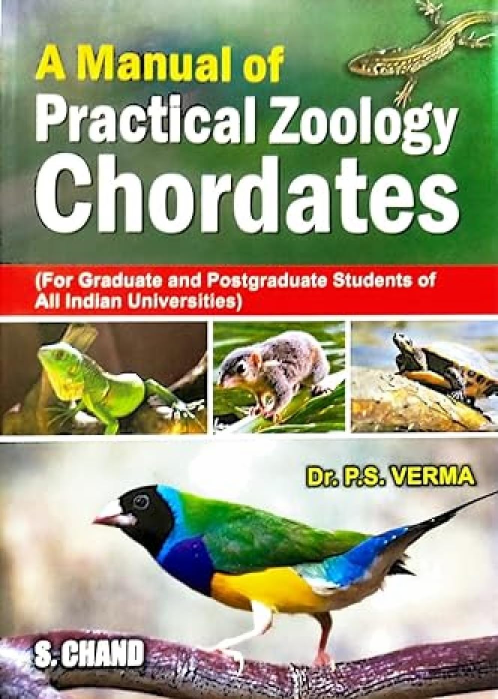 A Manual of Practical Zoology  Chordates