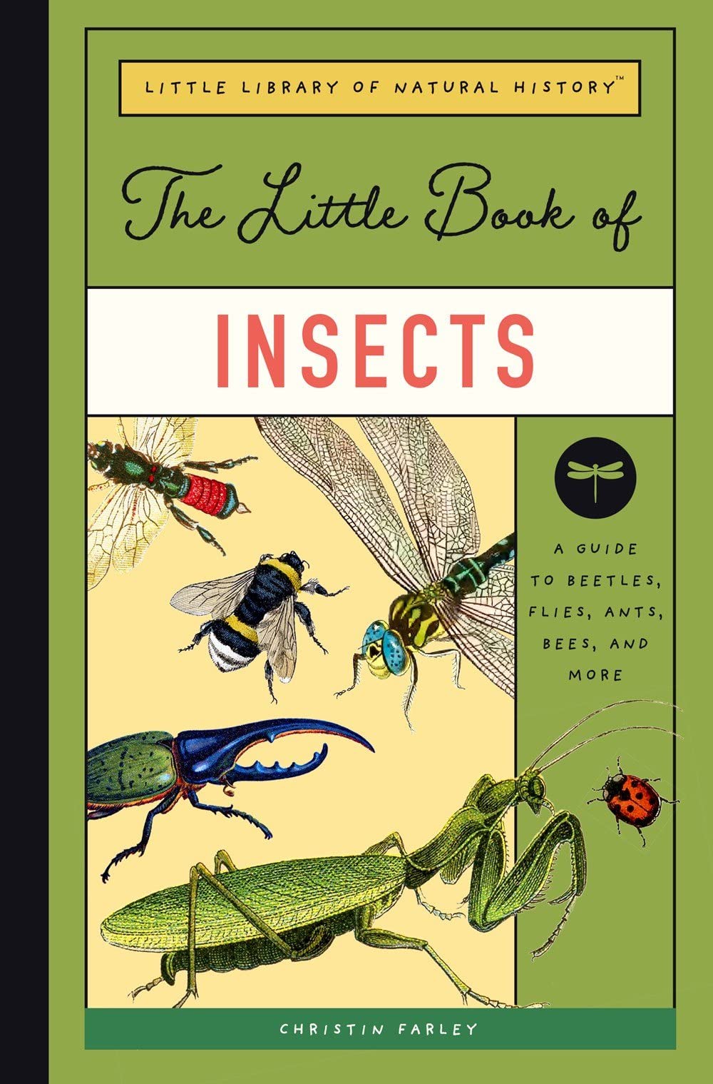 Little Book of Insects: A Guide to Beetles, Flies, Ants, Bees, and More: 2 (Little Library of Natural History)