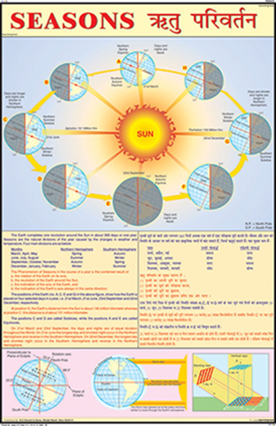 Gcs03 | Seasons Chart (50X75Cm) [Wall Chart] Teachingnest [Wall Chart] Teachingnest