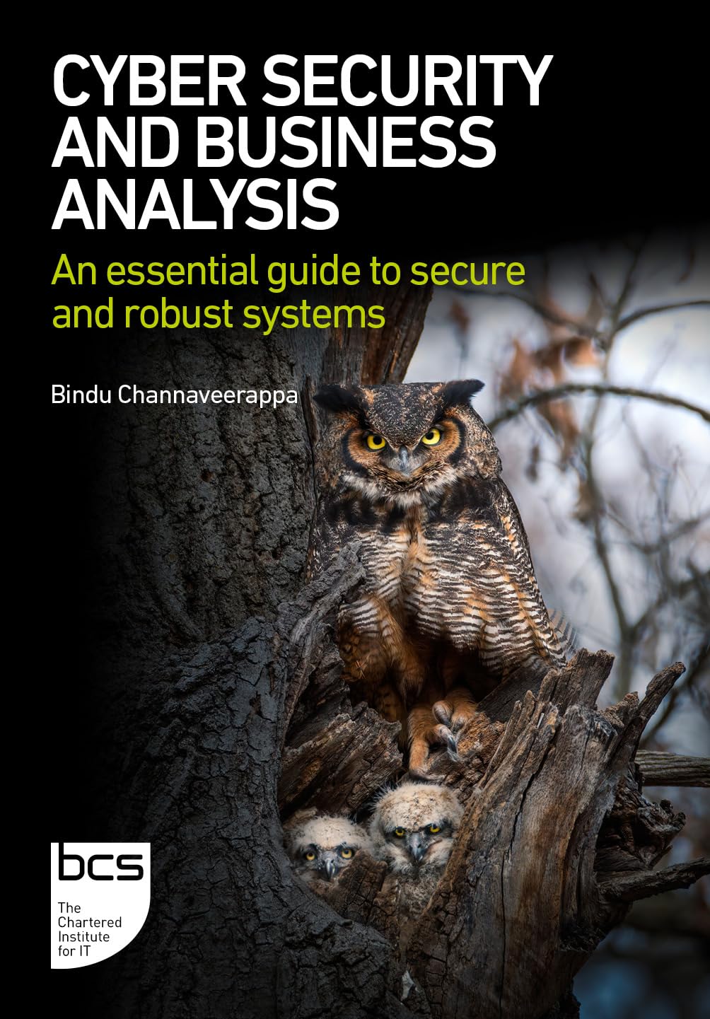 Cyber Security And Business Analysis: An Essential Guide To Secure And Robust Systems
