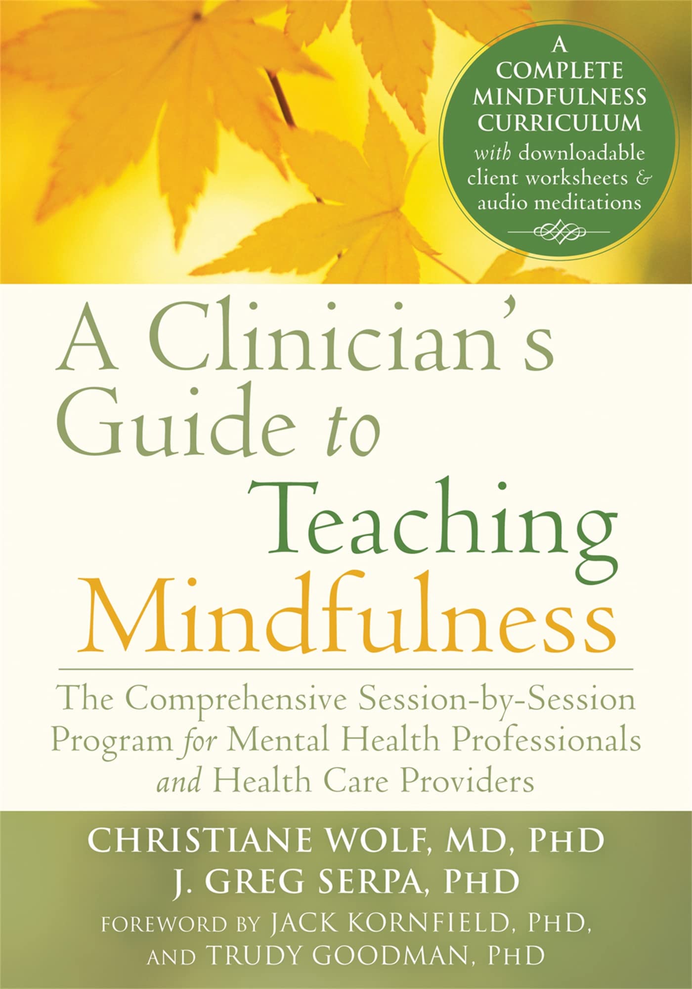 A Clinicians Guide to Teaching Mindfulness: The Comprehensive SessionbySession Program for Mental Health Professionals and He