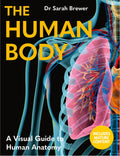 The Human Body: A Visual Guide To Human Anatomy