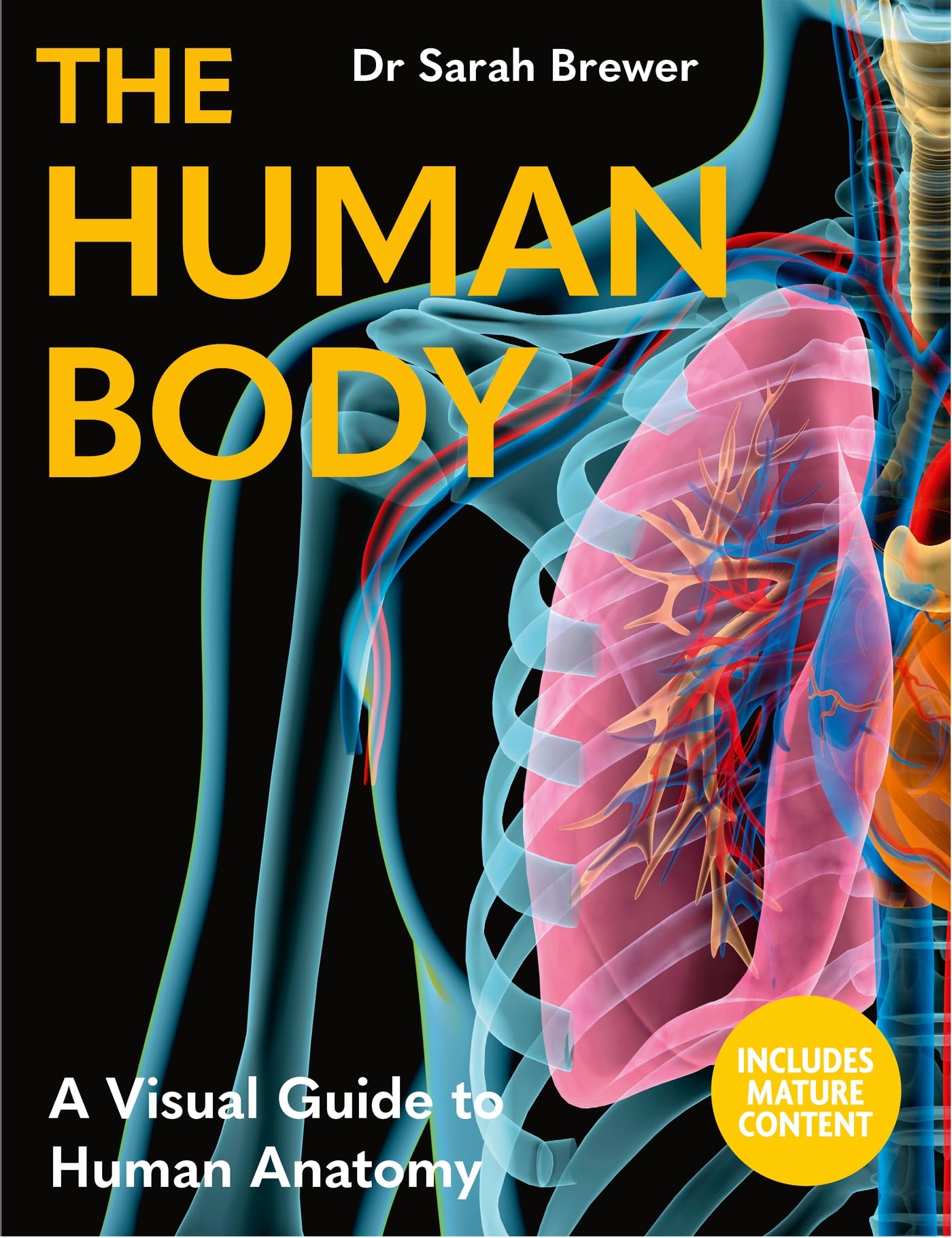 The Human Body: A Visual Guide To Human Anatomy