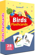 Birds Flash Cards For Kids