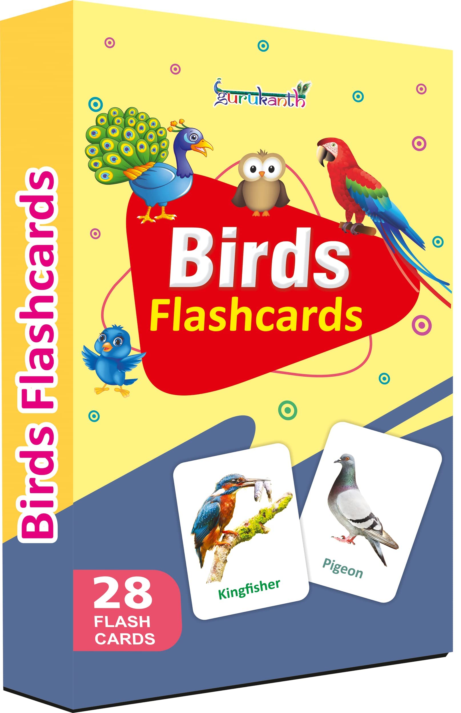 Birds Flash Cards For Kids