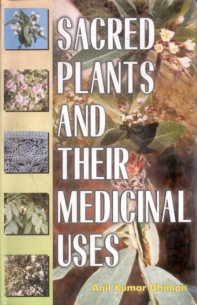 Sacred Plants and Their Medicinal Uses