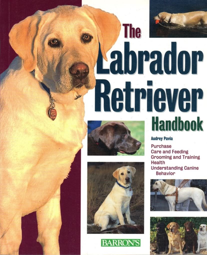 The Labrador Retriever Handbook (Barrons Pet Handbooks)