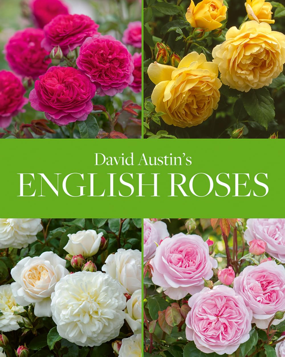 David Austins English Roses