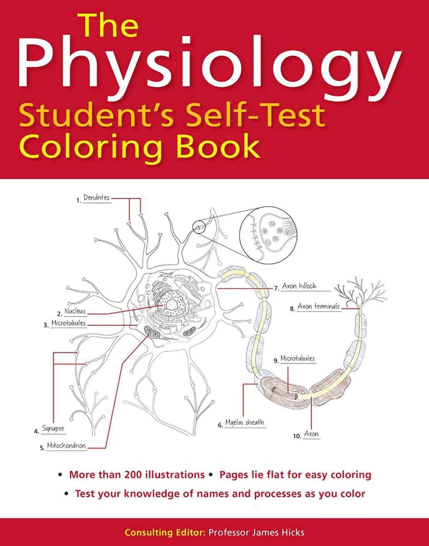 Physiology Students SelfTest Coloring Book (Barrons Test Prep)