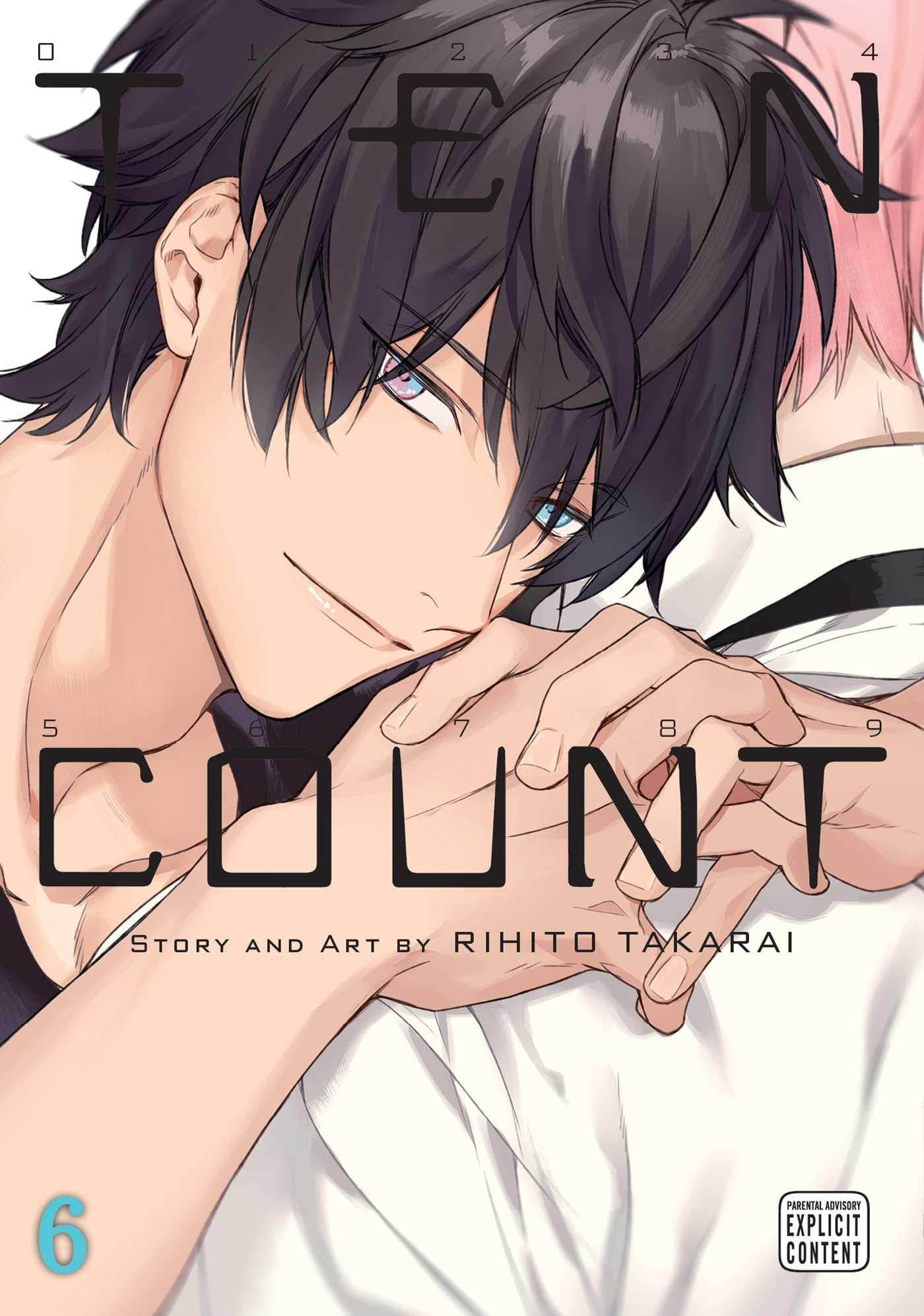 Ten Count, Vol. 6 (6)
