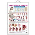 PREGNANCY PERIOD CHART | The Journey of Pregnancy: Comprehensive Period Charts