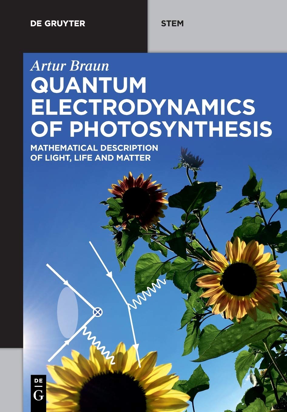 Quantum Electrodynamics of Photosynthesis: Mathematical Description of Light, Life and Matter (De Gruyter STEM)